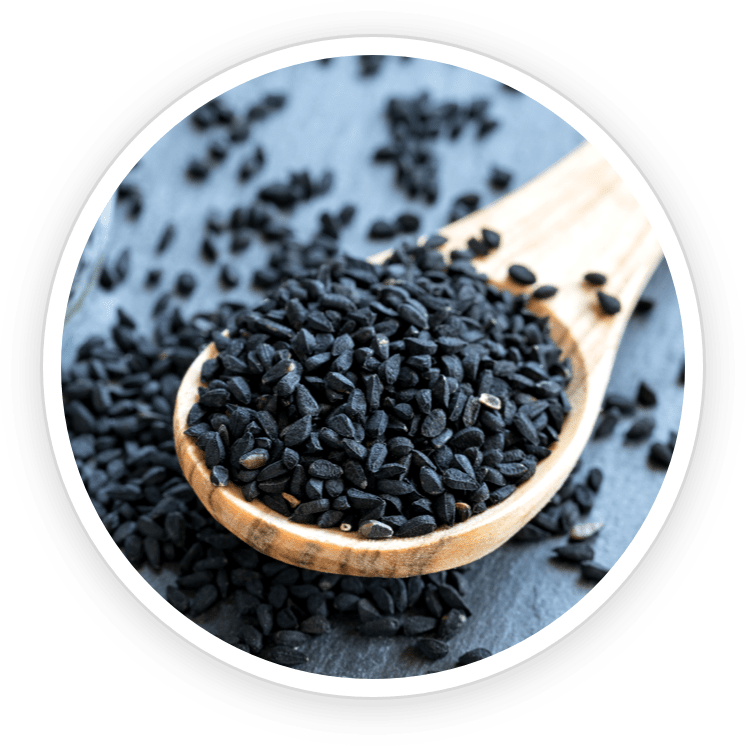 Babchi PrimeBiome's Ingredient